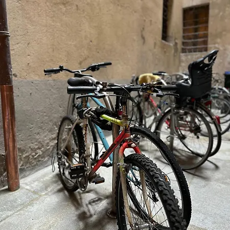 Mokai Centro Daire *